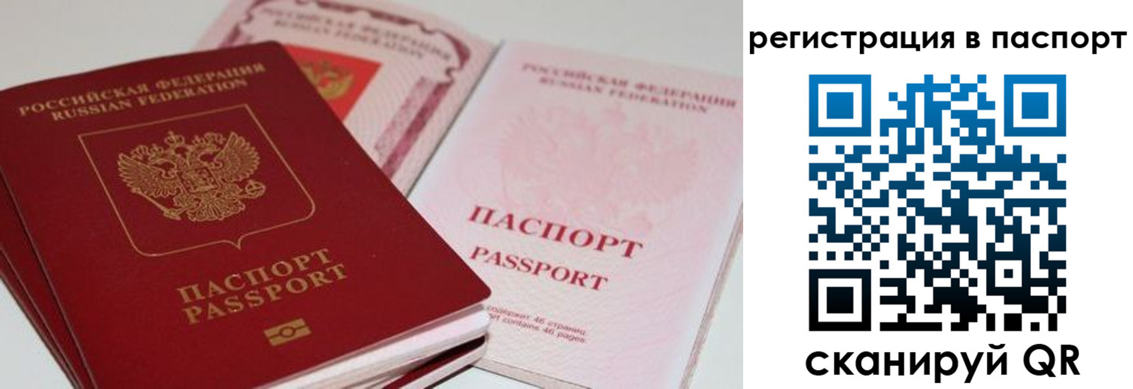 найти адрес прописки в Трубчевске